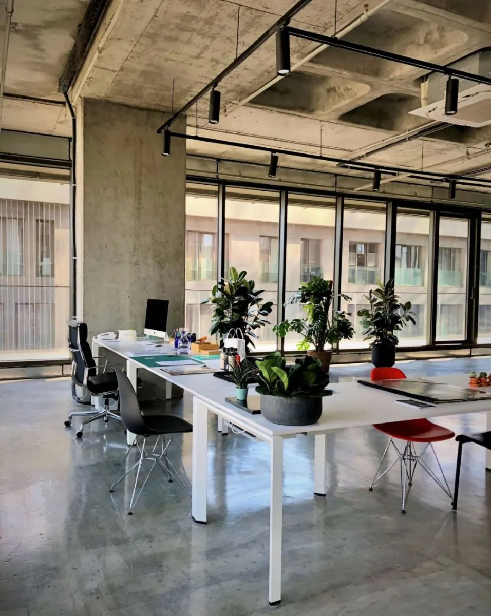 Dice Kayek Office — 4