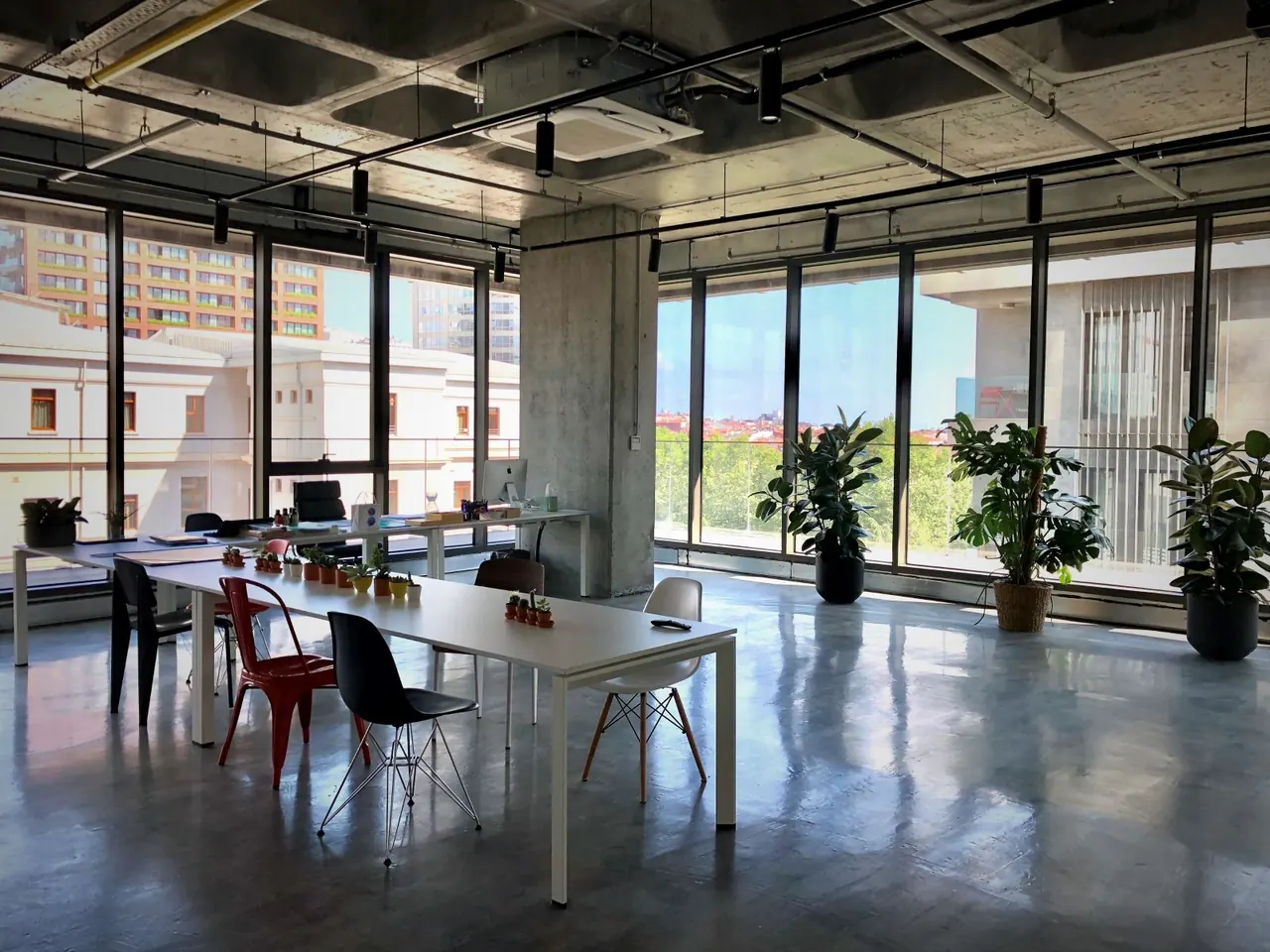 Dice Kayek Office — 6