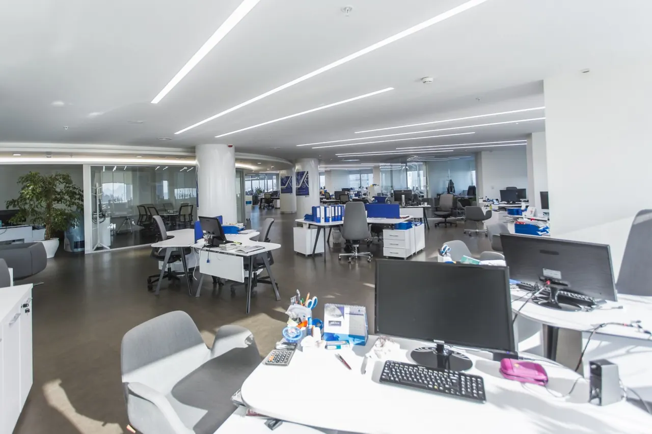Exeltis Office — 7